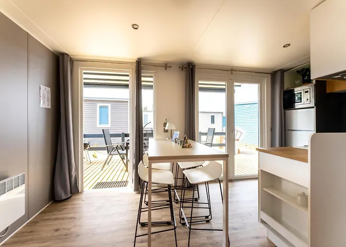 Muschel 54 شاربوتس